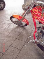 sundek-of-washington-sundek_276 (1)